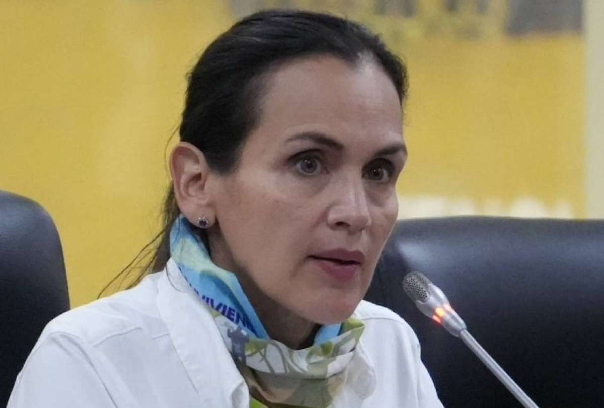 La ministra Inés Manzano anunció las acciones que realizarán para solventar la crisis de energía en el país.