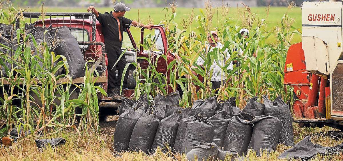 Este 9 de mayo, la entidad cumplir&aacute; un a&ntilde;o operando en el pa&iacute;s, cuyos servicios son destacados por los agricultores.