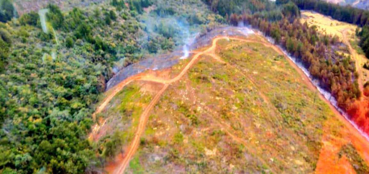 Autoridades manifestaron que cerca de 300 hect&aacute;reas de bosque fueron afectadas.