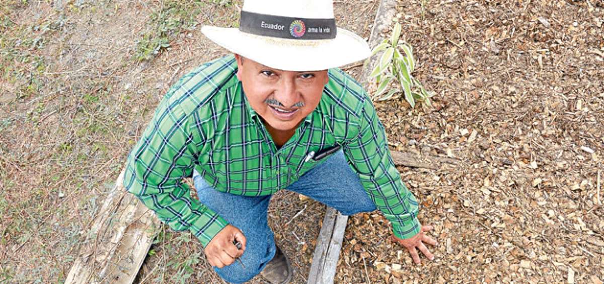 Luis Vinces, oriundo del cant&oacute;n 24 de Mayo (Manab&iacute;), tiene su propia parcela que piensa utilizar en un proyecto de capacitaci&oacute;n dirigido a los hombres y mujeres de Monte Sina&iacute;, en Guayaquil. Foto: Jos&eacute; Mor&aacute;n