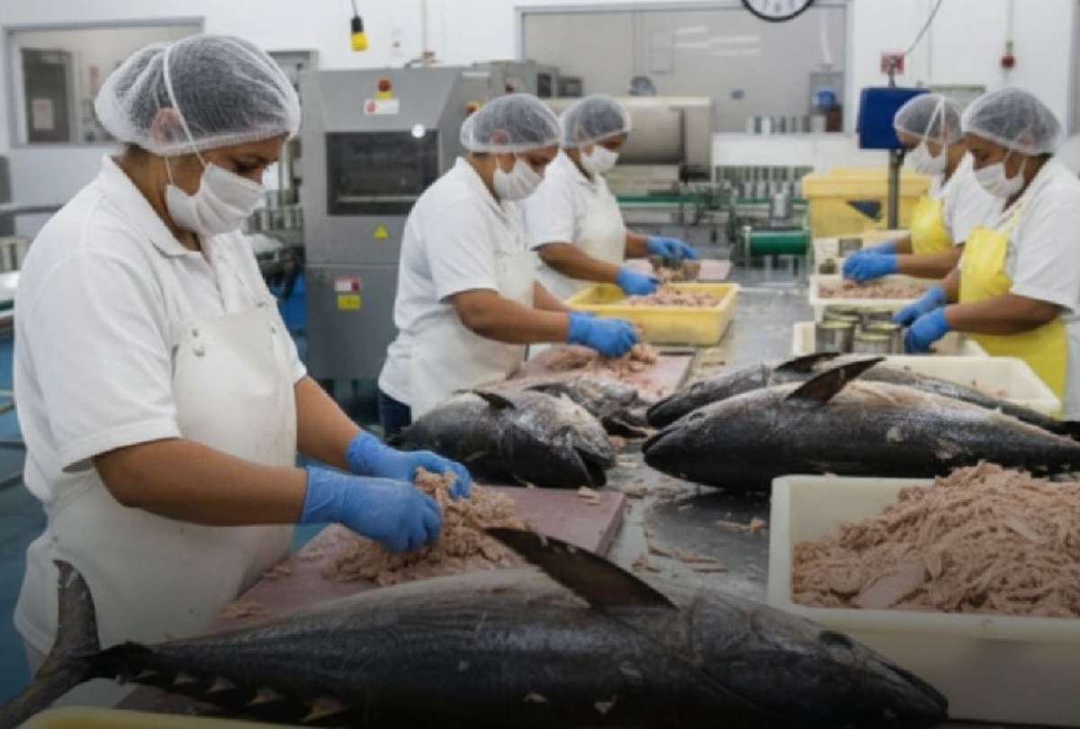 Las tasas de inter&eacute;s muestran una reducci&oacute;n sostenida