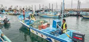 Los narcotraficantes buscan a estas personas, porque conocen muy bien el mar y sus coordenadas, los cargamentos son movidos en lanchas r&aacute;pidas.