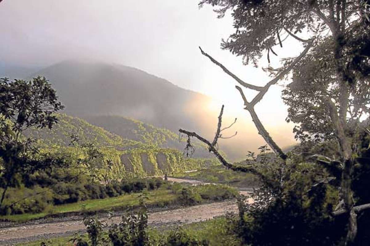 La Comisi&oacute;n sigui&oacute; su marcha hacia Ba&ntilde;os por las faldas del Tungurahua, un camino montuoso pero bueno, donde hab&iacute;a muchos &aacute;rboles &uacute;tiles como el hermoso mandur, cuyas hojas son redondas y gruesas. Foto: Archivo