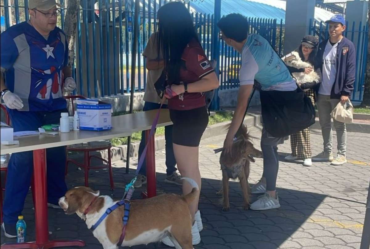 La jornada est&aacute; dirigida a tutores de perros y gatos y no requiere inscripci&oacute;n previa.