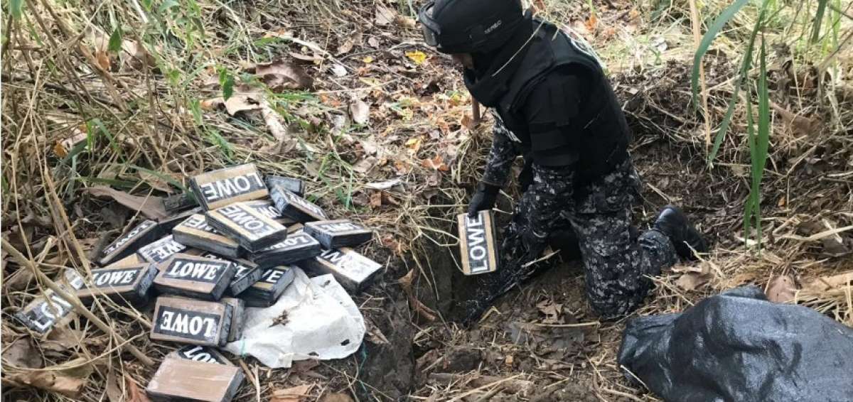 Parte de la droga fue hallada enterrada en los centros de acopio.