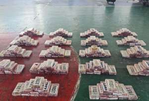 Camioneta con doble fondo transportaba 200 paquetes de droga en Napo