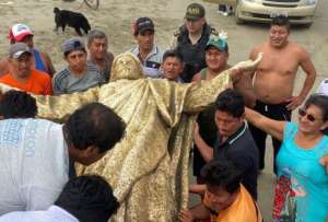 Imagen del Cristo Redentor sorprende a habitantes de Palmar