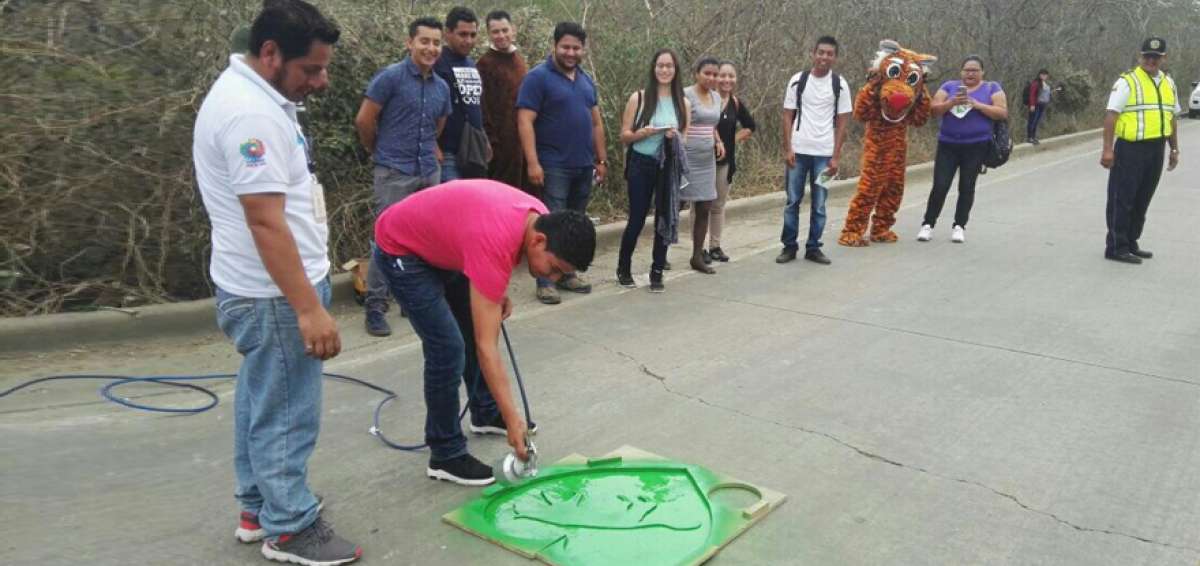 Un estudiante universitario pinta un coraz&oacute;n verde, dentro de la campa&ntilde;a que busca reducir los atropellos de animales silvestres en las carreteras.