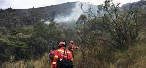 Uno de los incendios forestales m&aacute;s extensos y preocupantes, hasta ahora, fue el del cant&oacute;n Ponce Enr&iacute;quez.