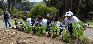 El pa&iacute;s ha reducido en 48,6% la tasa neta de deforestaci&oacute;n durante  las &uacute;ltimas dos d&eacute;cadas, puntualiz&oacute; el Ministerio del Ambiente.