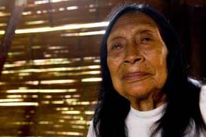 Dayuma Caento superaba los 90 a&ntilde;os de edad y ya se movilizaba con ayuda de una silla de ruedas. Viv&iacute;a en Puyo, en compa&ntilde;&iacute;a de su hija, yerno y nietos. Fue la primera waorani en ser bautizada al cristianismo.