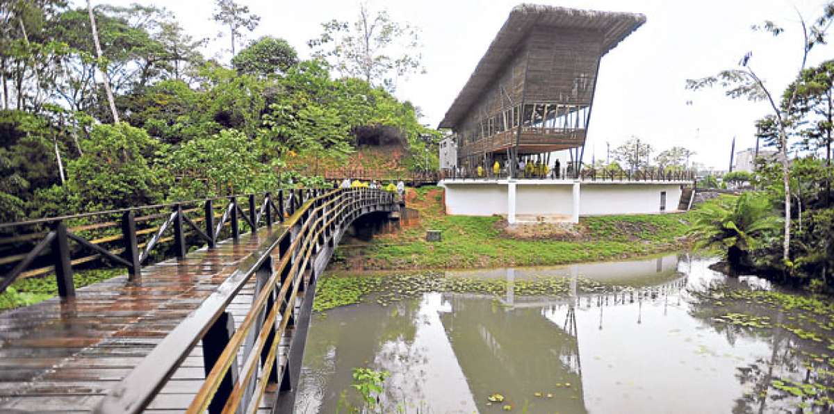 Este parque cuenta con senderos de alrededor de 1,8 kil&oacute;metros de extensi&oacute;n. Foto: Regi&oacute;n Norte