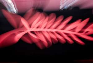 Documentales sobre Lennon, el Che, Ir&aacute;n o Cantona en una variada edici&oacute;n de Cannes