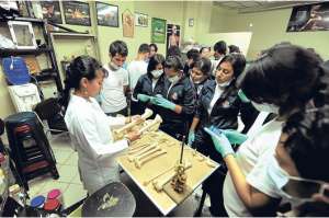Medicina, la primera carrera en ser evaluada