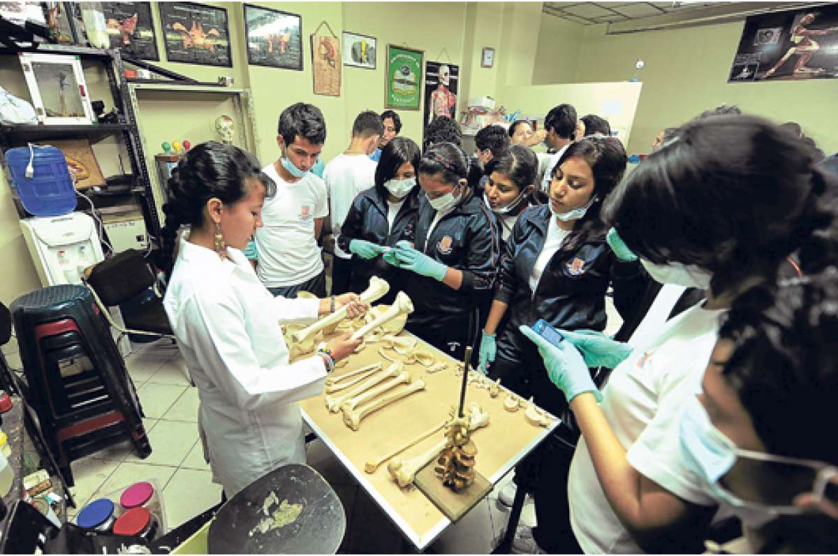 Medicina, la primera carrera en ser evaluada