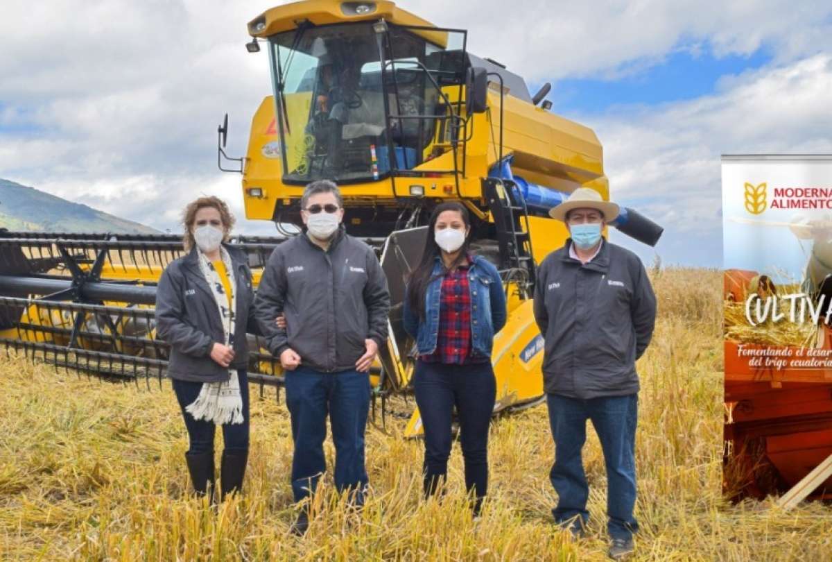 Programa alimenticio fomenta la producci&oacute;n de 2,6 toneladas de trigo nacional