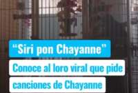Loro pidiendo música de Chayanne se vuelve viral