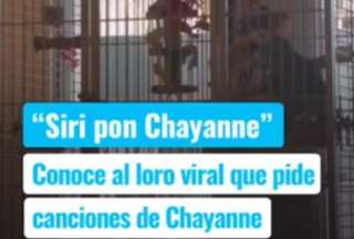 Loro pidiendo música de Chayanne se vuelve viral