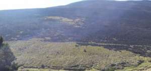 El fuego afect&oacute; a 50 hect&aacute;reas de dicha zona.