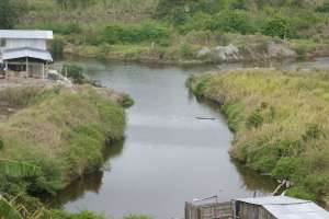 La ilegal actividad ha provocado la muerte de miles de camarones y peces, los que salen del r&iacute;o a morir en las riveras, inform&oacute; el Ing. Jordy Cortez. Habitantes de la parroquia.