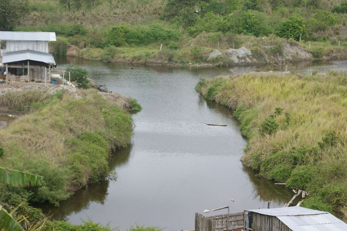 La ilegal actividad ha provocado la muerte de miles de camarones y peces, los que salen del r&iacute;o a morir en las riveras, inform&oacute; el Ing. Jordy Cortez. Habitantes de la parroquia.