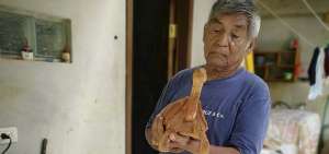 Fausto Llerena lleg&oacute; a Gal&aacute;pagos a los 15 a&ntilde;os, procedente de Tungurahua. Trabaj&oacute; como agricultor y luego fue guardaparque en el Parque Nacional Gal&aacute;pagos, all&iacute; naci&oacute; su amistad con George.