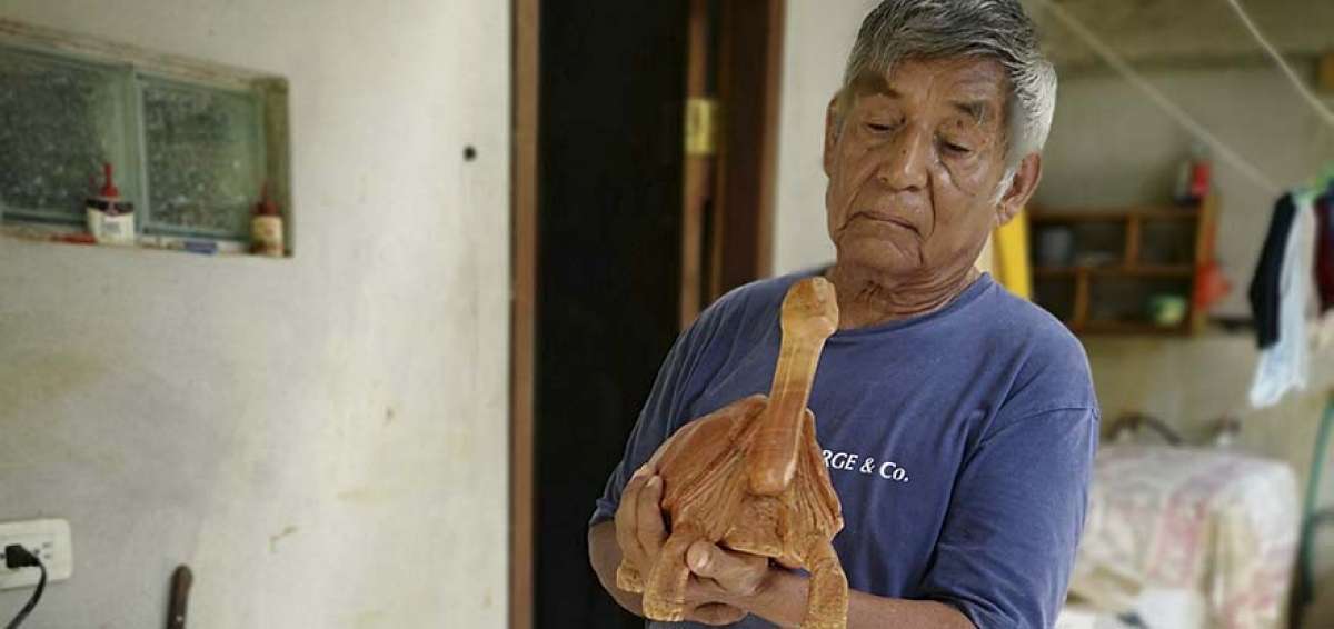 Fausto Llerena lleg&oacute; a Gal&aacute;pagos a los 15 a&ntilde;os, procedente de Tungurahua. Trabaj&oacute; como agricultor y luego fue guardaparque en el Parque Nacional Gal&aacute;pagos, all&iacute; naci&oacute; su amistad con George.