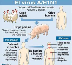 El mundo a&uacute;n espera una &lsquo;s&uacute;per gripe&rsquo; 