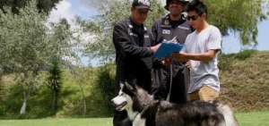 Polic&iacute;a Nacional contin&uacute;a con la adopci&oacute;n de canes hasta el 2 de febrero