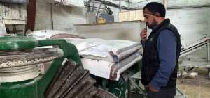 Planta procesadora de fideos de Cuenca fue clausurada por insalubridad