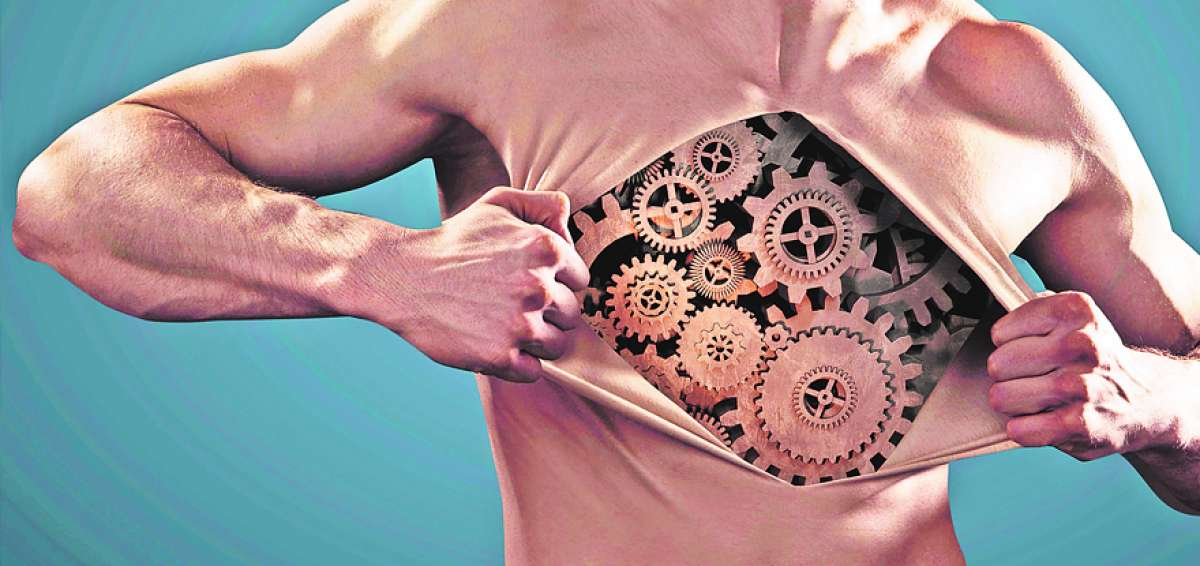 El cuerpo humano es considerado una m&aacute;quina sorprendente y compleja de alta precisi&oacute;n. Tiene &oacute;rganos relevantes y otros que carecen de utilidad.
