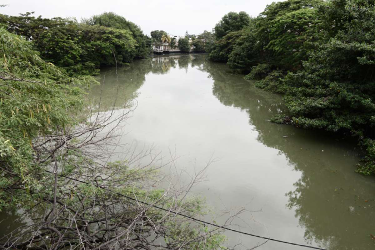 El trabajo ambiental se efectuar&aacute; en el tramo pr&oacute;ximo a Miraflores (en el norte del puerto principal). Foto: Miguel Castro / El Tel&eacute;grafo