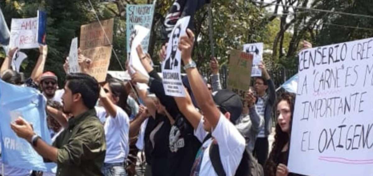 Ambientalistas guayaquile&ntilde;os piden cuidar la Amazon&iacute;a frente al consulado de Brasil