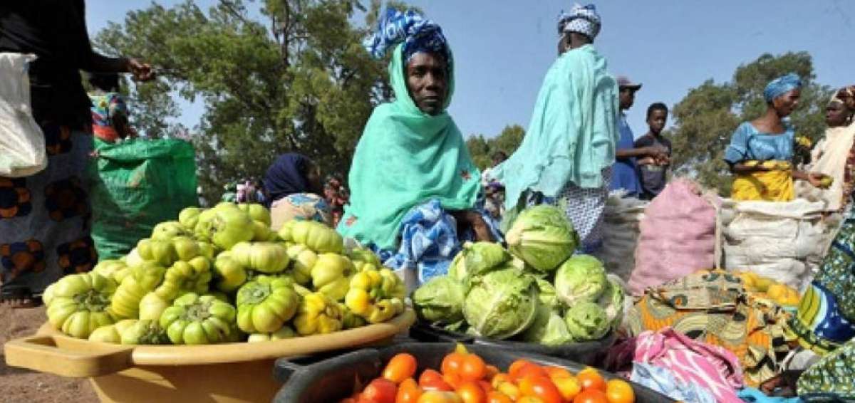 Alcanzar la meta del Hambre Cero en 2030, una de las prioridades en el D&iacute;a Mundial de la Alimentaci&oacute;n