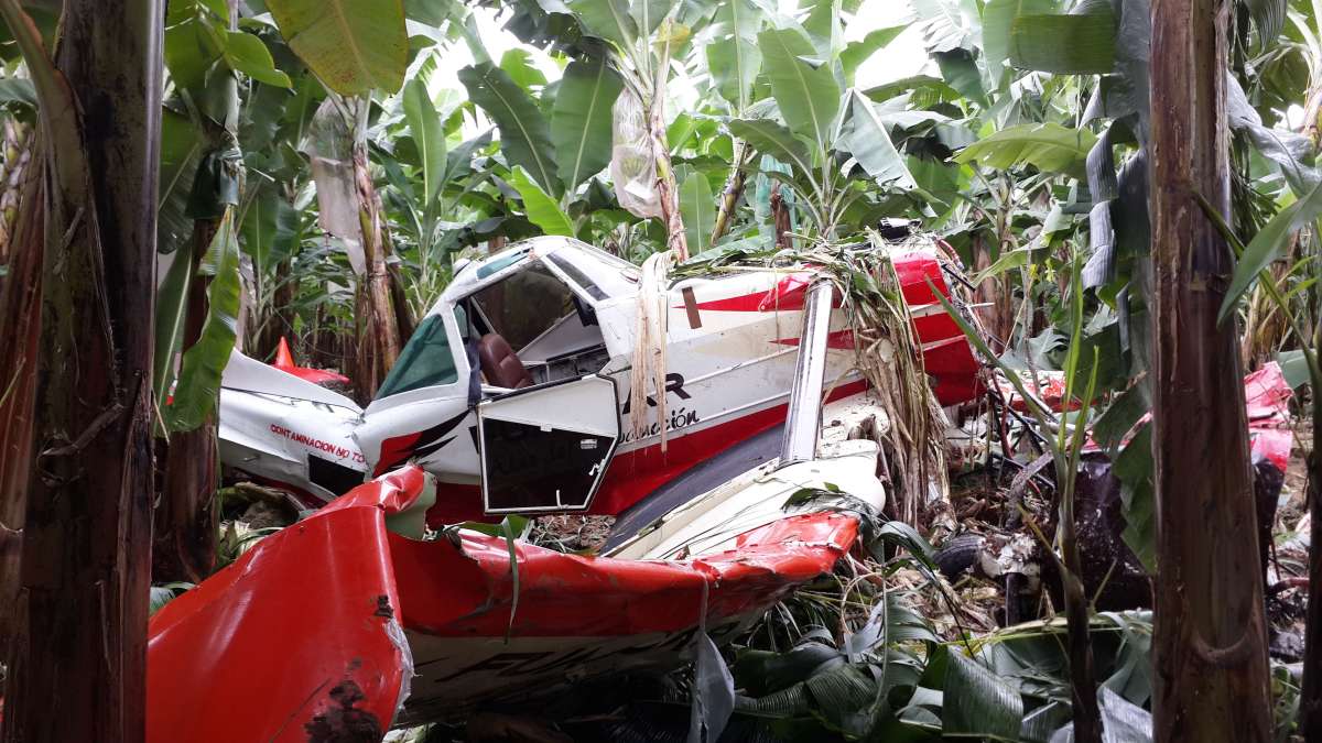 Seg&uacute;n testigos, al momento de su descenso la avioneta arras&oacute; con  plantas bananeras y se parti&oacute; en dos. 