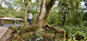 En los espacios TiNi de todo el pa&iacute;s, los asistentes desarrollan conciencia ambiental y su amor por la naturaleza.