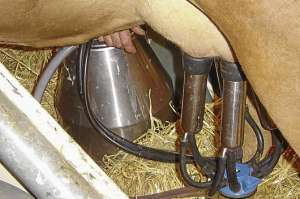 Ganaderos de Mira reciben equipos y la asesor&iacute;a para mejorar producci&oacute;n