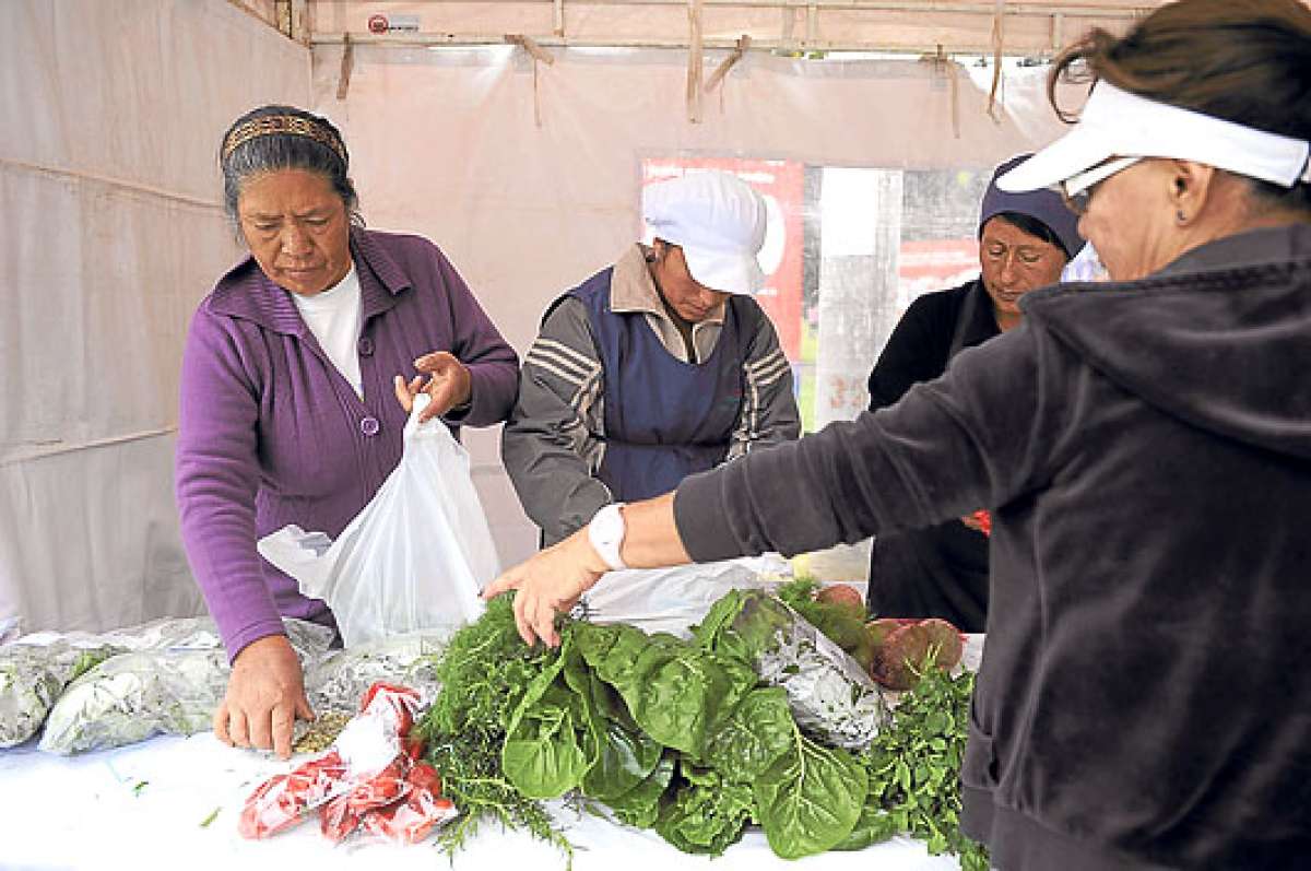 Los productores expusieron lo que sacan de la tierra sin el uso de qu&iacute;micos.