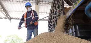 Actualmente, algunos productores de arroz llevan su cosecha a la planta de silos de la UNA EP, ubicada en Daule, mientras otros a las piladoras privadas.