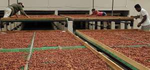 Integrantes de la cadena de cacao exhibir&aacute;n sus productos y las t&eacute;cnicas de producci&oacute;n.