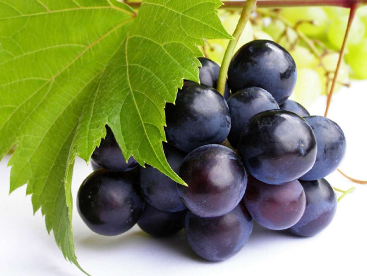 Las semillas de la uva, una fuente potente de antioxidantes