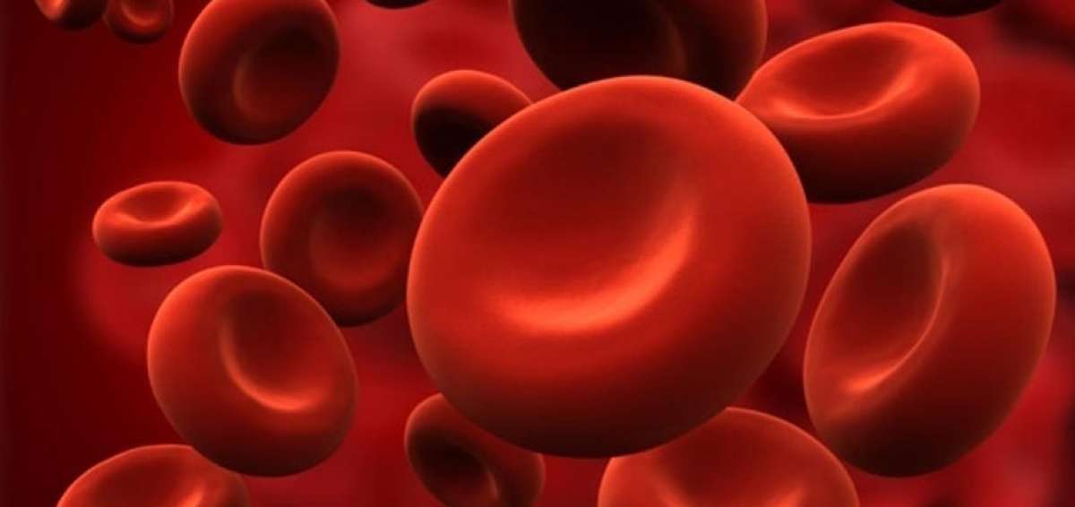 El diagn&oacute;stico oportuno de la hemofilia evita la discapacidad