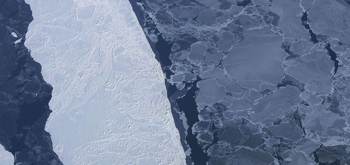 El estudio revela que el cambio clim&aacute;tico podr&iacute;a tener mayor impacto de lo esperado en los ecosistemas marinos polares. 