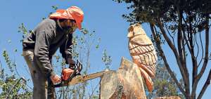 Una de las esculturas es el b&uacute;ho. La figura es trabajada en un tronco antiguo que est&aacute; situado en el parque de La Madre, en Cuenca. Fotos: Fernando Machado/El Tel&eacute;grafo