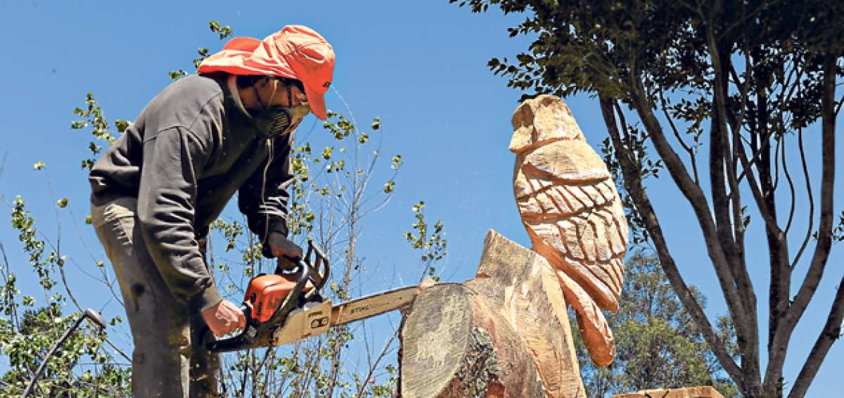 Una de las esculturas es el b&uacute;ho. La figura es trabajada en un tronco antiguo que est&aacute; situado en el parque de La Madre, en Cuenca. Fotos: Fernando Machado/El Tel&eacute;grafo