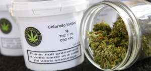Suiza se convierte en un oasis para  el consumo del cannabis legal