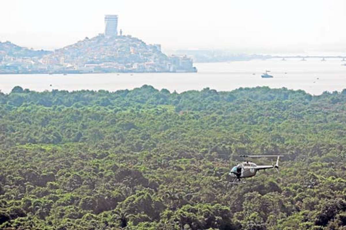 El cerro Santa Ana es uno de los sitios m&aacute;s concurridos por los viajeros. Actualmente, tambi&eacute;n es la isla Santay. Foto: Miguel Castro / El Tel&eacute;grafo