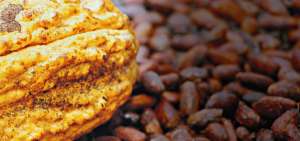 Exportaciones de cacao subieron 4,65% en 2018