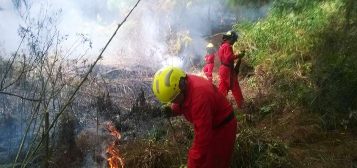 El personal del Cuerpo de Bomberos de Loja rota cada 24 horas y en las compa&ntilde;&iacute;as hay 10 efectivos de planta. 