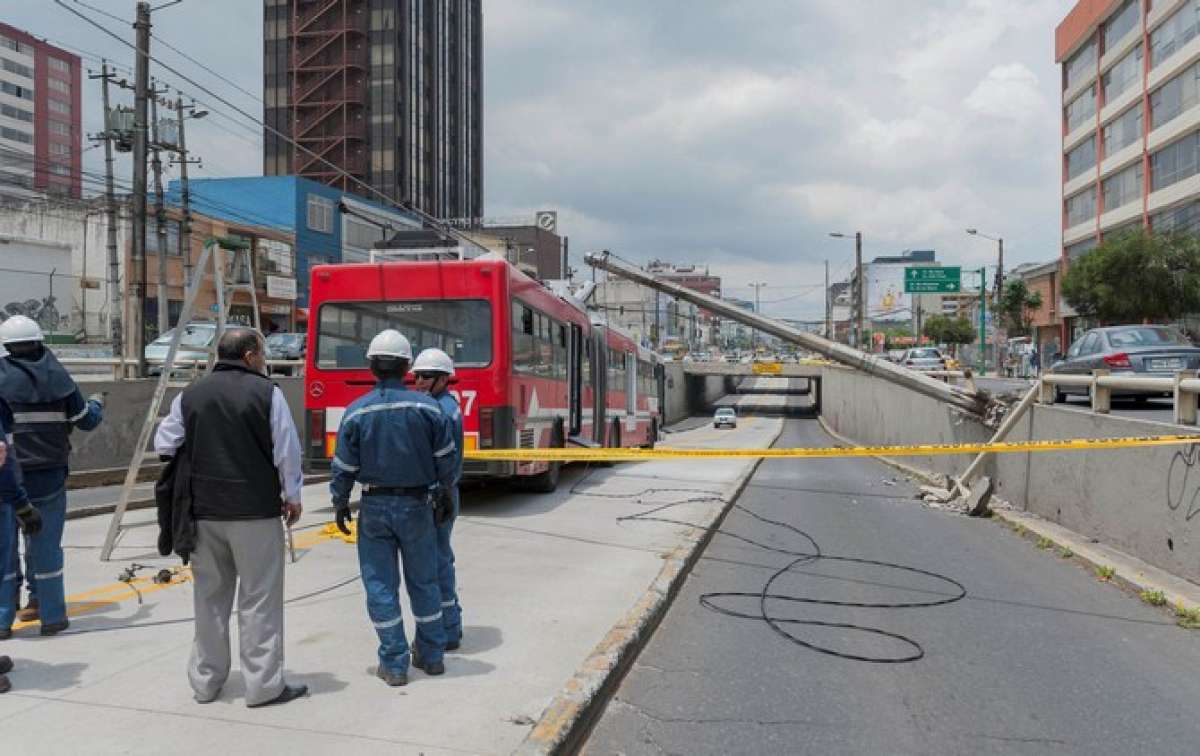 Foto: Miguel Jim&eacute;nez / EL TEL&Eacute;GRAFO